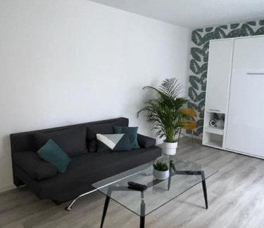 Clermont-Ferrand House | Un havre de paix en plein coeur de ville près Chu