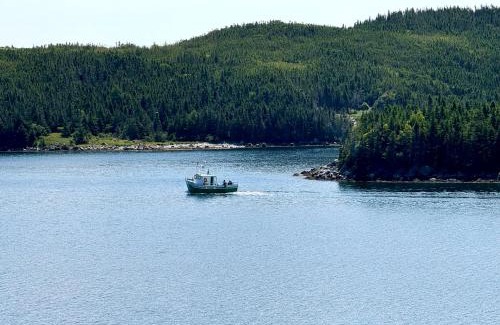 Terra Nova House | Uncle Len's Cabin