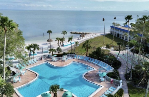 Pinellas Point House | Uncover St. Pete's Gem: Steps Away from Art to Nature to Culinary Bliss