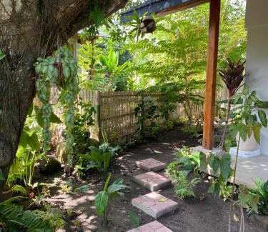 Valencia House | Under the mango tree at Klipp Residence