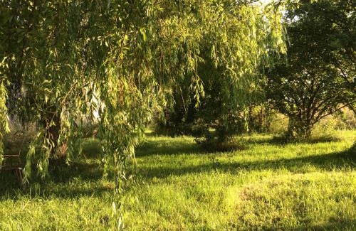 Berthenay House | Une Maison, Un Jardin