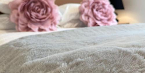 Downtown Tucson Hotel | Unicorn Zebra