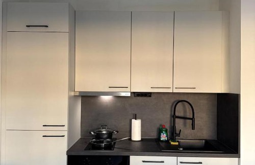 Waldegg Apartment | Union Suite Apartment Near Train Station