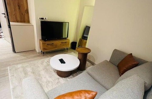 Gezira Apartment | Unique apartment 4