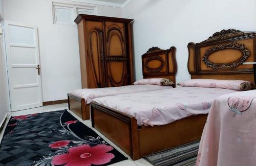 Shibin al Kawm Apartment | Unique apartment