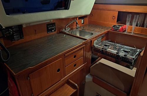 Hoganas Boat Rental | Unique boat