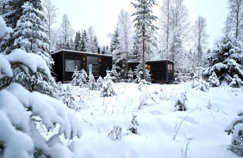 Rovaniemi Villa | Unique Cabin with Breathtaking Northern Light View