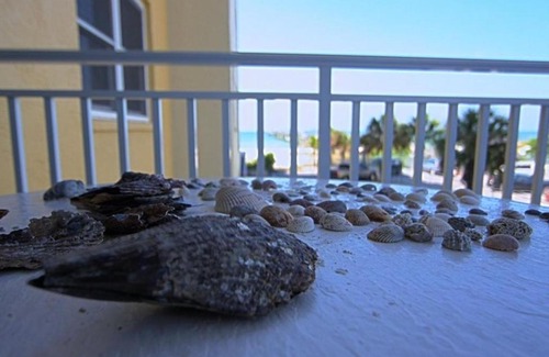 Redington Shores House | Unit 107