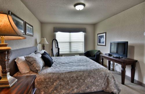 Birchwood Apartment | Unit 311 1 Bd 1 Ba Condo Condo