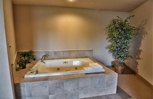 Birchwood Apartment | Unit 312 1 Bd 1 Ba Condo Condo