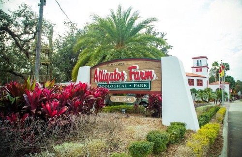 St. Augustine Beach House | Unit 8312 - Ocean & Racquet Resort