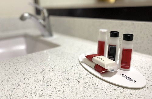 Carbondale Hotel | University Inn of Carbondale