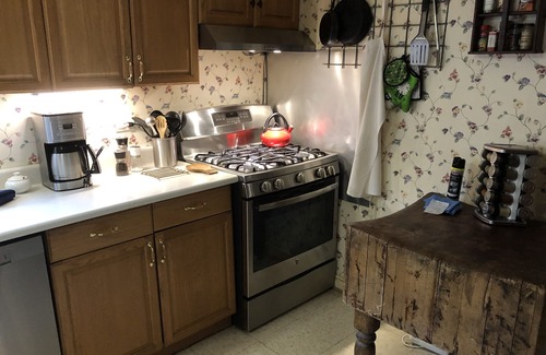 Silverton House | Unlimited Adventures In The San Juans - Very Comfortable w New, Custom Bathrooms