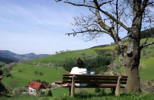 Zell am Harmersbach House | Unterer Gurethshof