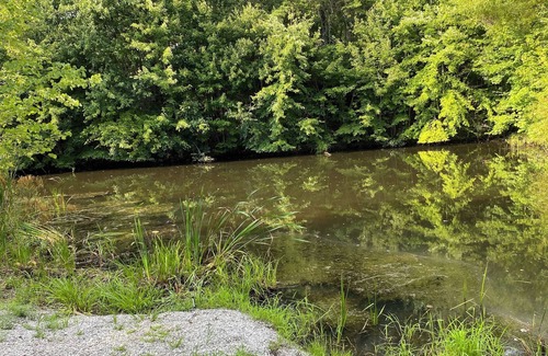 Pittsburg Cabin | Unwind and Unplug at our Secluded Serenity Nature Paradise in Kentucky