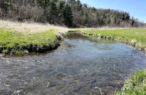 Muscoda Cabin | Unwind at Driftless Pines - NEW