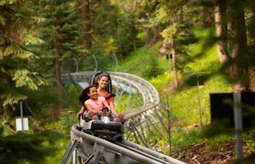 Aspen House | Updated 3BR, 3BA with Pool - Steps to Town