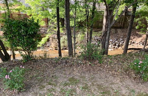 Northport House | Updated Home on Creek *3 King Beds* 4 mi to UA