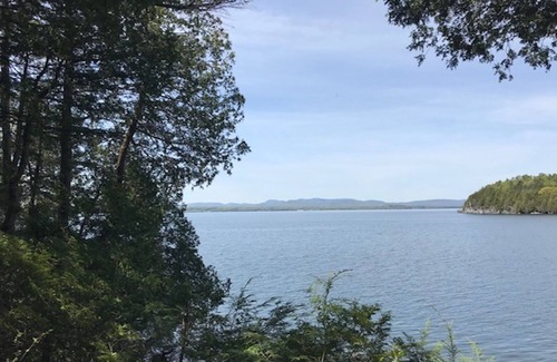 Charlotte Cottage | Updated lakefront home in a wooded setting with private dock & beach access