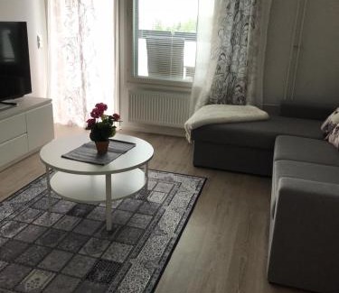 Seinajoki Apartment | Upea kaksio, Keskustorin laidalla