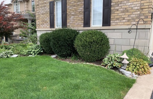 Brampton Condo | Upscale Coach House - 1 Bedroom