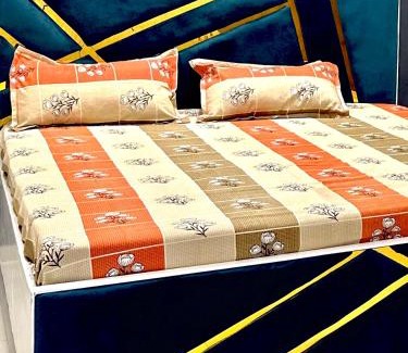 Jaipur House | Uptown Jaipur- Premium Apartment