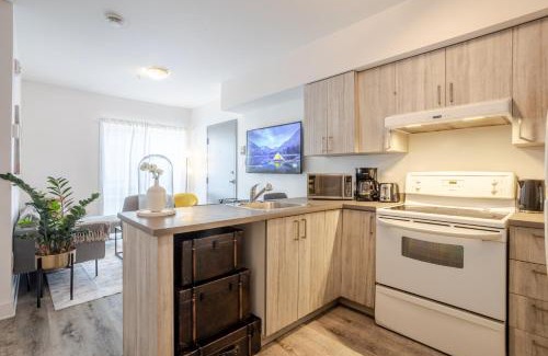 Downtown Montreal Apartment | Urban 1BDR Apartment on Bishop -MTL Live Spot