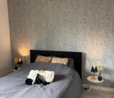 Saint-Jacques-de-la-Lande Apartment | Urban Stay Rennes - Logement entier à Saint-Jacques de la Lande
