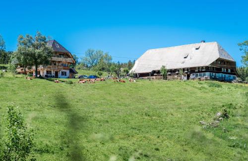 Hinterzarten Apartment | Urbanshof Herr Tobias Fehrenbach