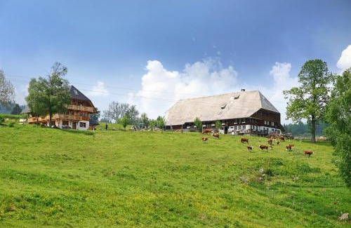 Hinterzarten Apartment | Urbanshof Herr Tobias Fehrenbach