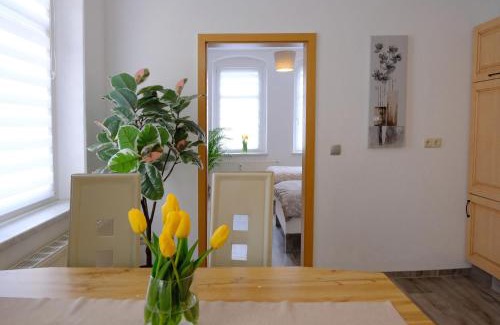 Gera Apartment | Urlaub nicht nur für Monteure "K1"