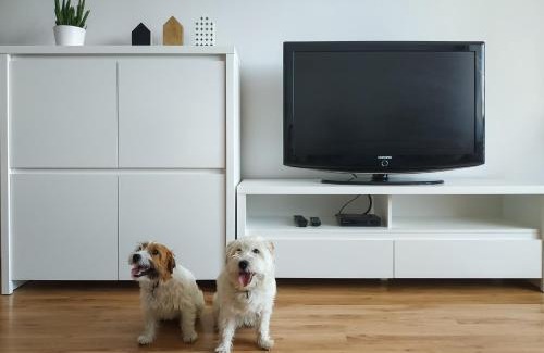 Wadowice Apartment | Uroczy Apartament Pod Skarpą
