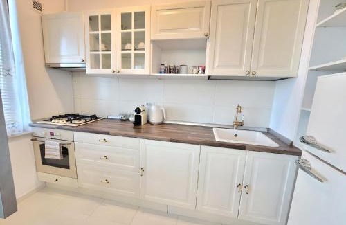 Pipera Apartment | US Embassy & ZOO Baneasa - Privighetorilor Studio