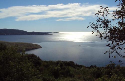 Ustrine House | Ustrine view