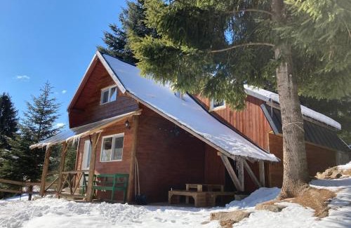 Siculeni House | Vén Fenyő Kunyhó