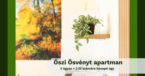 Aparhant Apartment | Völgység Apartmanok