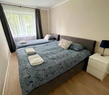 Valmiera Apartment | V.5