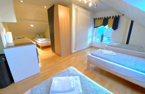 Oberteisbach Apartment | V Apartment 4 Personen - Monteurzimmer - Ferienwohnung - Kronwieden