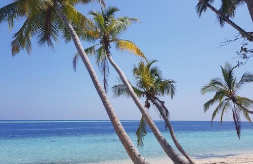 Felidhoo House | Vaali Maldives Island Escapes & Dive