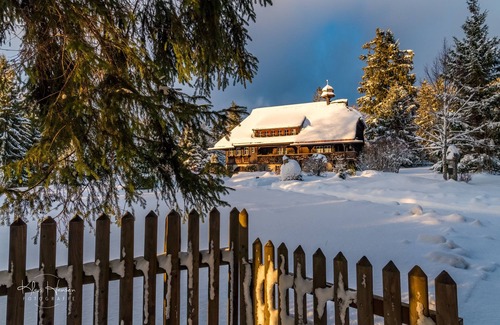 Feldberg Apartment | Vacation apartment/apartment for 4 guests with 90m² in Feldberg (Black Forest) (162883)