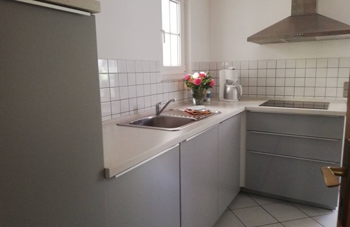 Uhldingen-Muehlhofen Apartment | Vacation apartment on Lake Constance with conservatory, garden with barbecue house for up to 6 people.