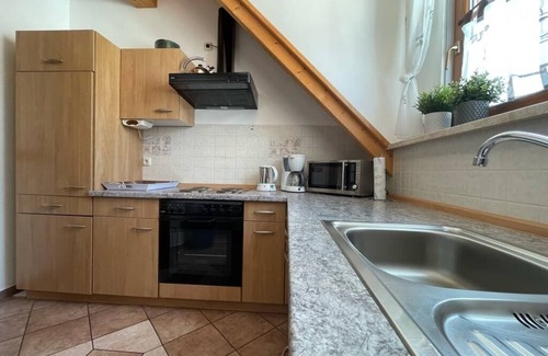 Neualbenreuth Apartment | Vacation apartment for 4 people (80 sqm) with balcony