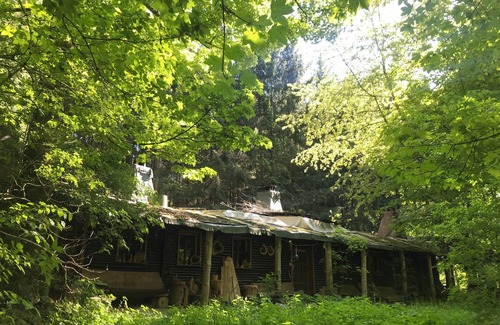 Bertsdorf-Hoernitz House | Vacation apartment "Squirrel's Nest" in the Wild Auwaldhaus, Zittau Mountains