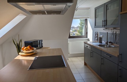 Oberschwarzach Apartment | Vacation apartment with relaxation area in the garden