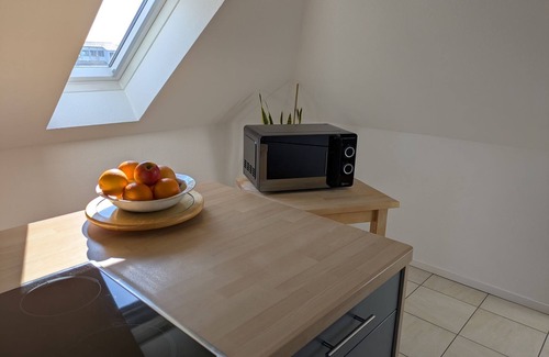 Oberschwarzach Apartment | Vacation apartment with relaxation area in the garden