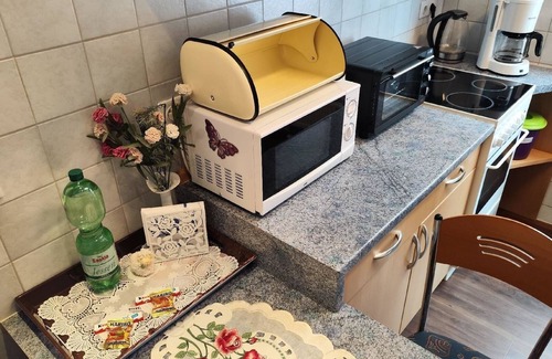 Friedrichroda Apartment | Vacation apartment/apartment for 5 guests with 60m² in Friedrichroda (182551)