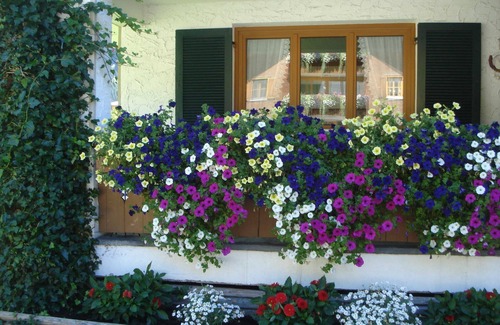 Schoppernau Apartment | Vacation apartment 1 - House Brunhilde