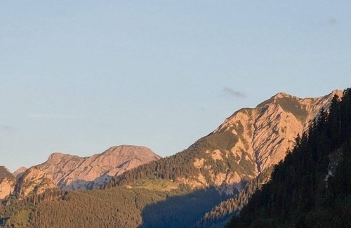 Rofleuten Apartment | Vacation apartment/apartment for 2 guests with 28m² in Pfronten (267445)