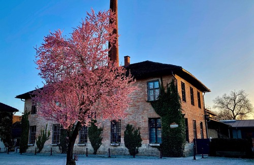Ammerland Apartment | Vacation apartment/apartment for 4 guests with 70m² in Polling (272723)