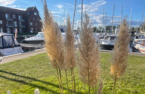 Ueckermuende Apartment | Vacation apartment/apartment for 6 guests with 64m² in Ueckermünde (71515)